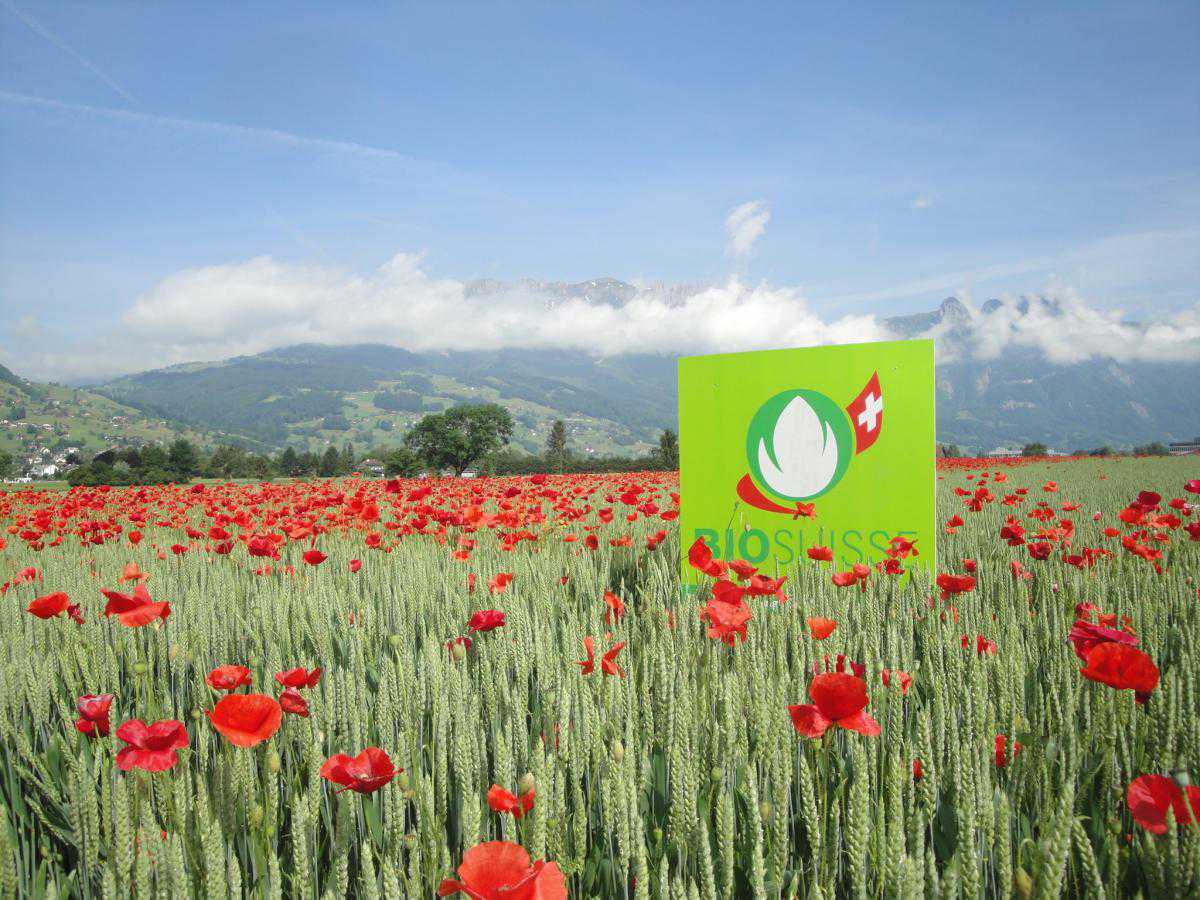 bio-suisse