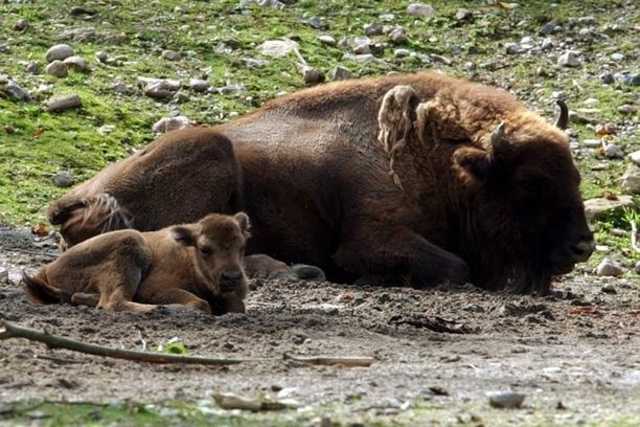 Фото - Наша газета