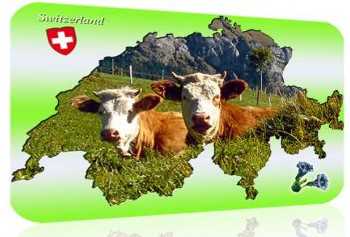 Фото - Наша газета