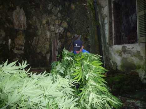 Фото - Наша газета