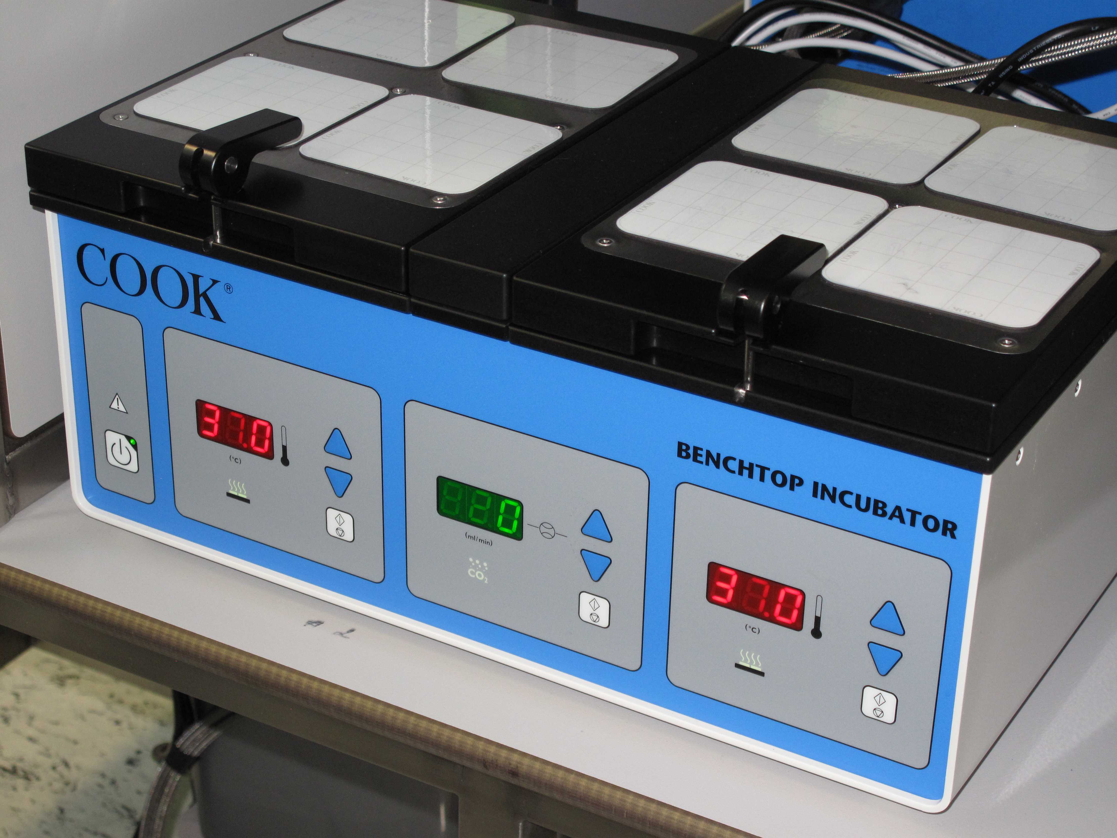 Фото - Наша газета