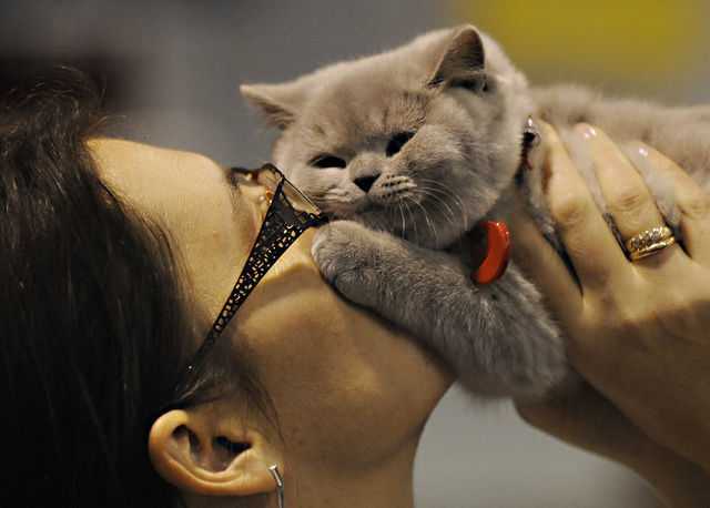 Фото - Наша газета