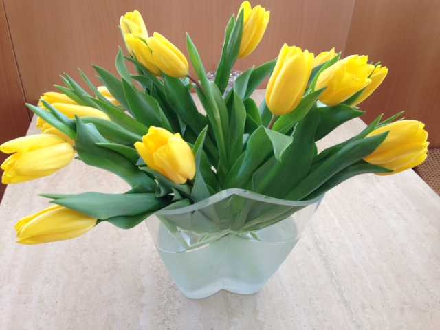 Фото - Наша газета