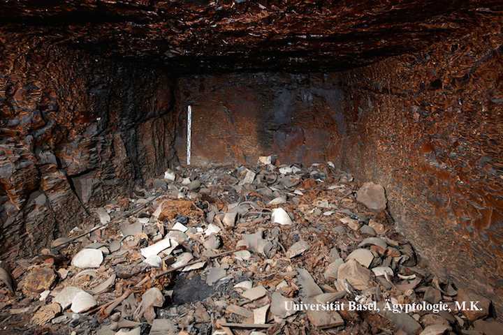 Фото - Наша газета