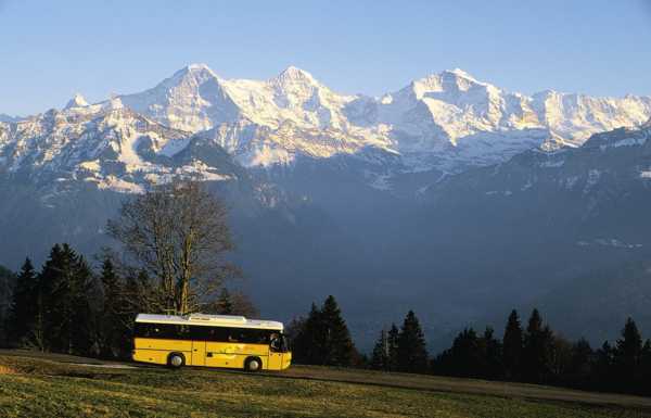 Фото - Наша газета