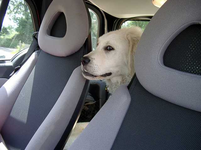 Фото - Наша газета